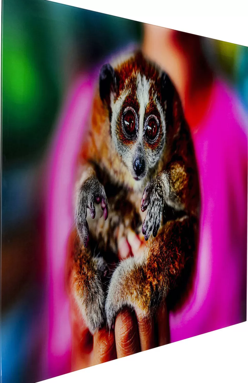 KARE Design Glasschilderij Slow Loris 80x120cm Online