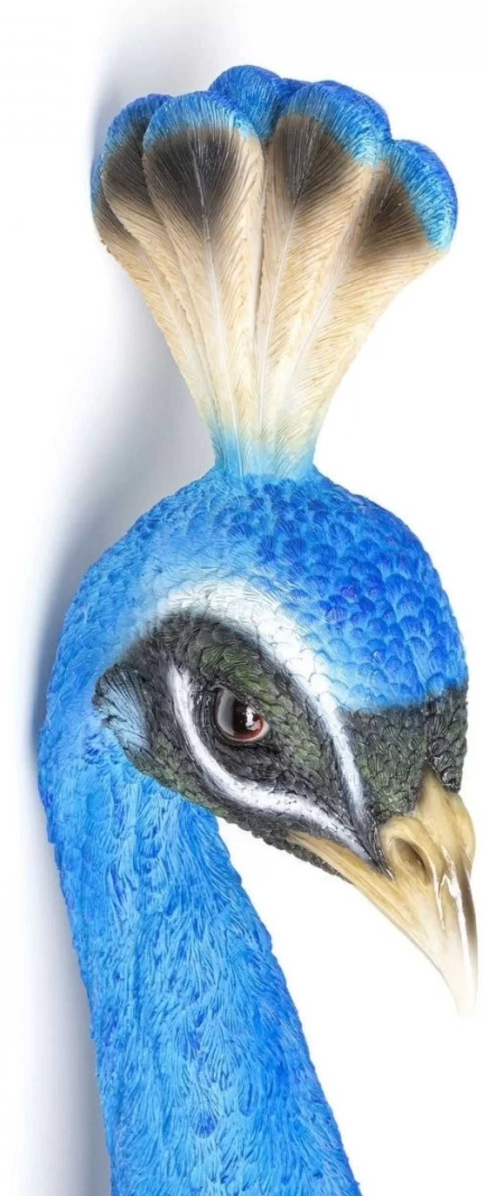 KARE Design Wanddecoratie Peacock Store